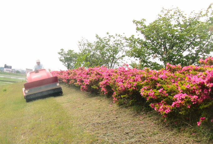 藤岡地域都市公園樹木等管理業務委託（部屋南部桜づつみ公園）