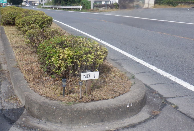街路樹管理業務委託 小山大平線（道保全単）